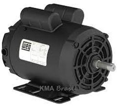 MOTOR MONOF 4P 1/3CV 127/220V