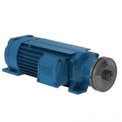 MOTOR TRIF 2P AR 75W 380/660V PREMIUM